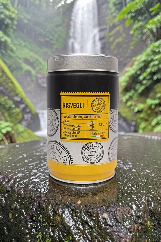 Risvegli – w eleganckiej puszce
